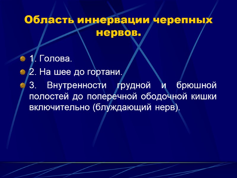 Область иннервации черепных нервов. 1. Голова. 2. На шее до гортани.  3. Внутренности